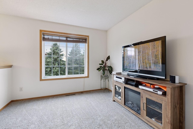 12141 Zealand Ave N, Champlin, MN 55316 - photo 11
