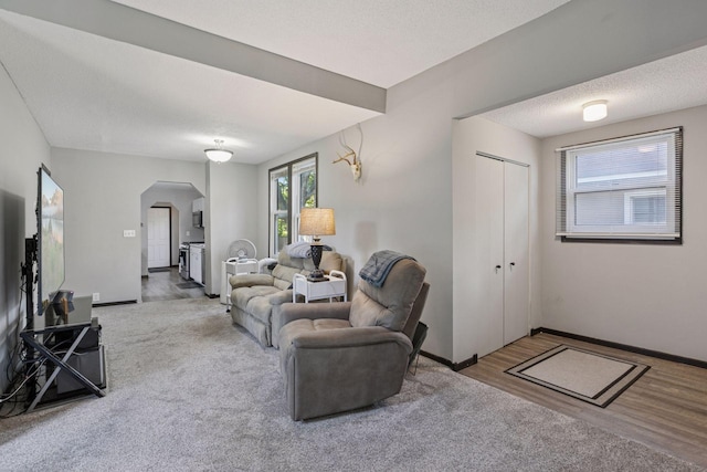 4718 Colfax Ave N, Minneapolis, MN 55430 - carpeted living room featuring arched walkways and baseboards