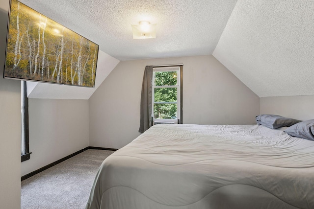 4718 Colfax Ave N, Minneapolis, MN 55430 - bedroom featuring carpet floors, a textured ceiling, and vaulted ceiling