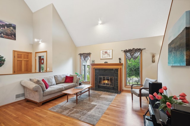 15795 Quebec Cir, Eden Prairie, MN 55346 - living area featuring high vaulted ceiling, a high end fireplace, and light wood-style floors