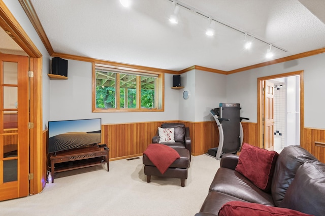15795 Quebec Cir, Eden Prairie, MN 55346 - carpeted living area featuring rail lighting, wainscoting, wooden walls, and crown molding