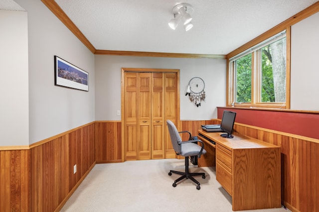 15795 Quebec Cir, Eden Prairie, MN 55346 - home office featuring a wainscoted wall, wood walls, ornamental molding, and light colored carpet