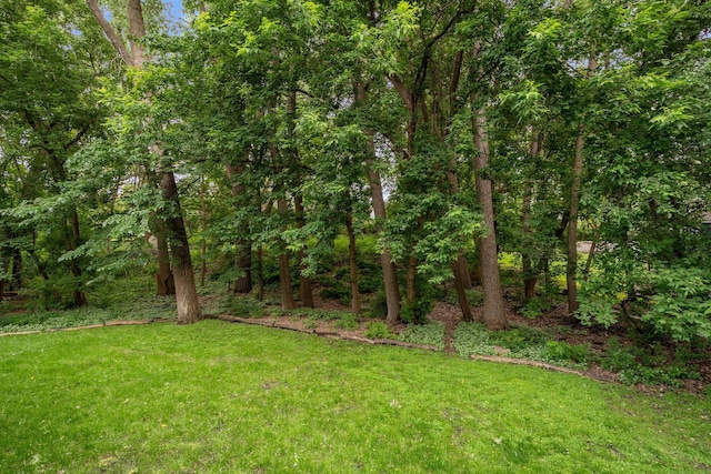 15795 Quebec Cir, Eden Prairie, MN 55346 - view of grassy yard