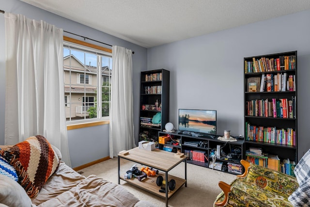 1587 County Road D E Unit B, Maplewood, MN 55109 - living area with carpet flooring and a textured ceiling