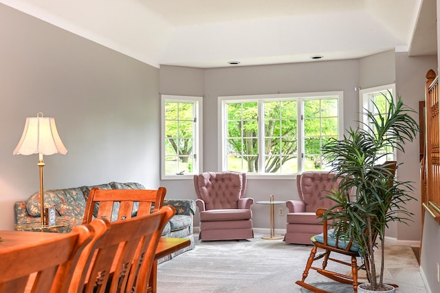 6490 White Dove Dr, Excelsior, MN 55331 - sitting room featuring carpet flooring, baseboards, and plenty of natural light