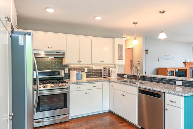 6490 White Dove Dr, Excelsior, MN 55331 - kitchen with stainless steel appliances, a sink, under cabinet range hood, backsplash, and a peninsula