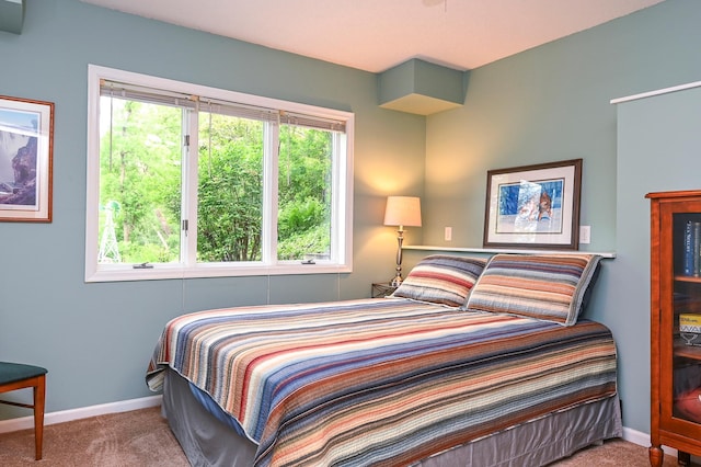 6490 White Dove Dr, Excelsior, MN 55331 - bedroom featuring carpet flooring and baseboards