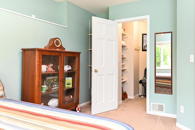 6490 White Dove Dr, Excelsior, MN 55331 - carpeted bedroom with a walk in closet, baseboards, and a closet