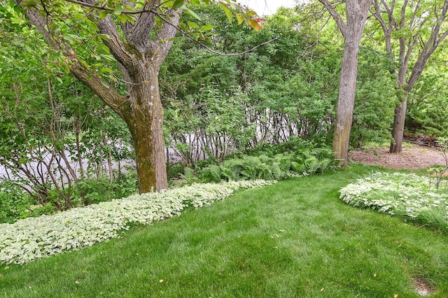 6490 White Dove Dr, Excelsior, MN 55331 - view of grassy yard