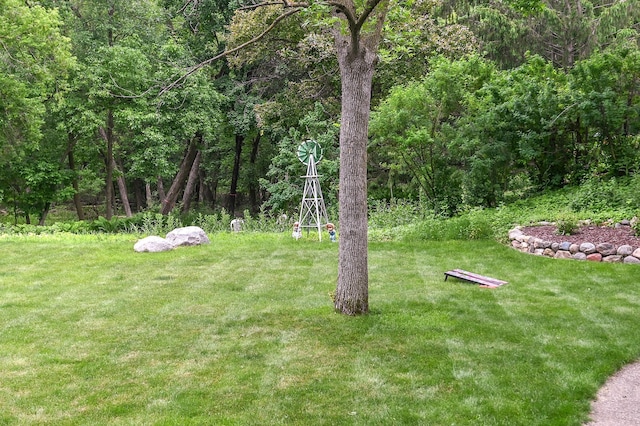 6490 White Dove Dr, Excelsior, MN 55331 - view of grassy yard