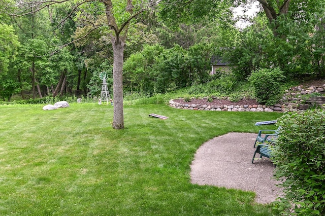 6490 White Dove Dr, Excelsior, MN 55331 - view of grassy yard