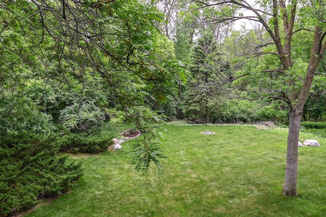 6490 White Dove Dr, Excelsior, MN 55331 - view of grassy yard featuring a wooded view