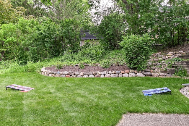 6490 White Dove Dr, Excelsior, MN 55331 - view of green lawn