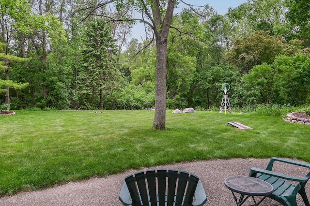 6490 White Dove Dr, Excelsior, MN 55331 - view of green lawn