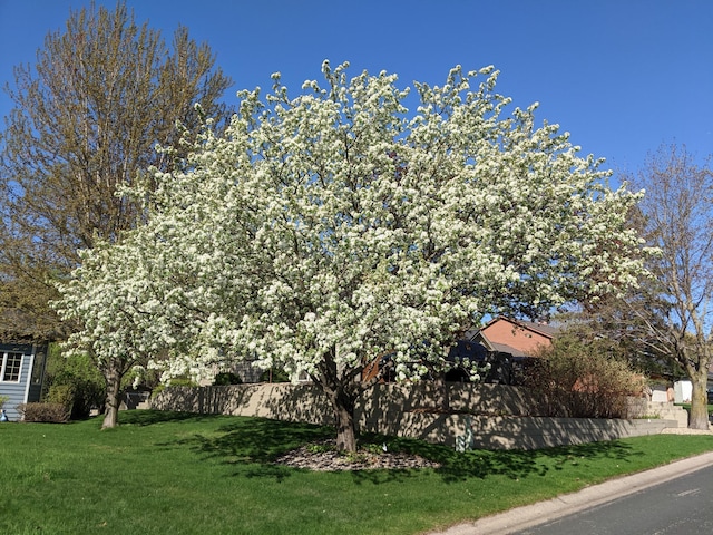 6490 White Dove Dr, Excelsior, MN 55331 - view of yard
