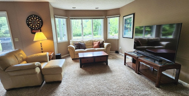 6490 White Dove Dr, Excelsior, MN 55331 - carpeted living room featuring baseboards and a textured ceiling