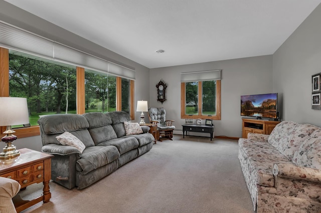 1341 75th Ave NE, Sauk Rapids, MN 56379 - living area with carpet flooring and baseboards