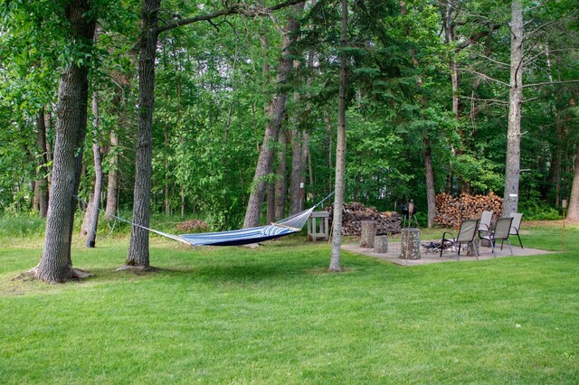 15088 Shady Oak Ln, Center Twp, MN 56465 - view of grassy yard featuring a fire pit and a patio area