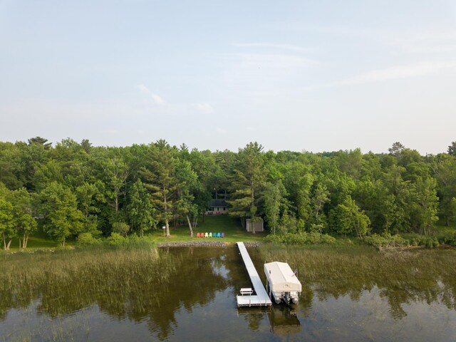 15088 Shady Oak Ln, Center Twp, MN 56465 - dock area featuring a water view and a view of trees