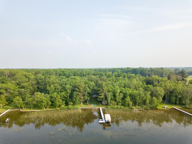 15088 Shady Oak Ln, Center Twp, MN 56465 - drone / aerial view of a nearby body of water and a forest