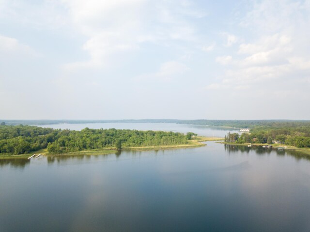 15088 Shady Oak Ln, Center Twp, MN 56465 - water view with a forest
