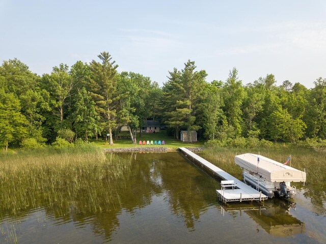 15088 Shady Oak Ln, Center Twp, MN 56465 - dock featuring a water view and a view of trees
