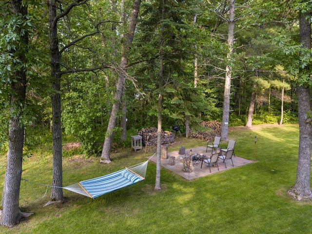 15088 Shady Oak Ln, Center Twp, MN 56465 - view of green lawn featuring a patio area, a fire pit, and a view of trees
