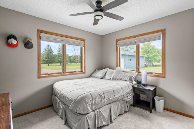 32147 111 1/2 St, Baldwin Twp, MN 55371 - bedroom featuring light colored carpet, multiple windows, baseboards, and a textured ceiling