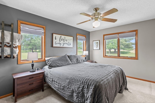 32147 111 1/2 St, Baldwin Twp, MN 55371 - bedroom with light carpet, baseboards, a ceiling fan, and a textured ceiling