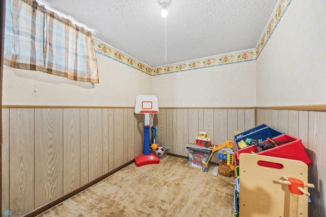 1307 5th St S, Fargo, ND 58103 - recreation room featuring a textured ceiling, carpet, wood walls, and wainscoting