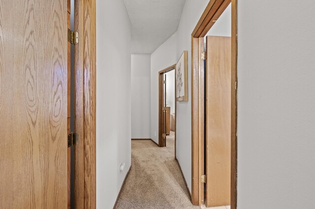 3509 Bryant Ave S, Minneapolis, MN 55408 - photo 13