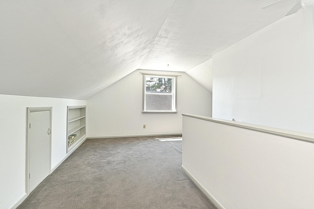 619 9th Ave, Grand Rapids, MN 55744 - additional living space featuring built in shelves, lofted ceiling, carpet, baseboards, and a textured ceiling