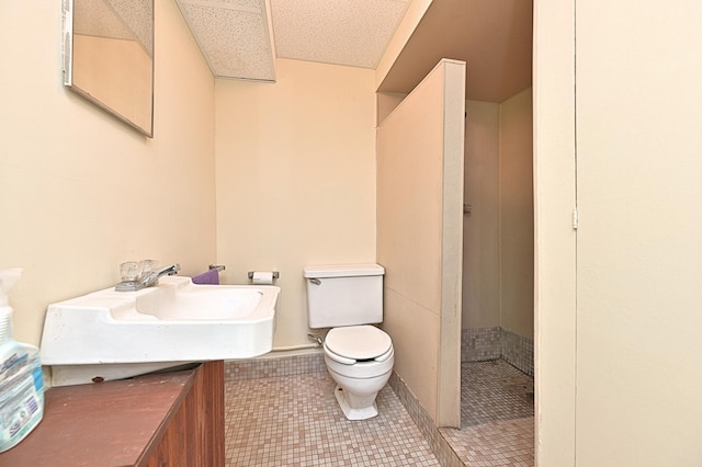 619 9th Ave, Grand Rapids, MN 55744 - full bathroom featuring toilet, walk in shower, tile patterned floors, and vanity