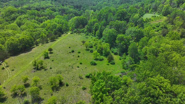 tbd County 13 Road, Houston, MN 55943 - photo 4