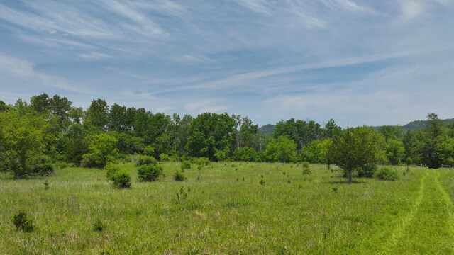 tbd County 13 Road, Houston, MN 55943 - photo 9
