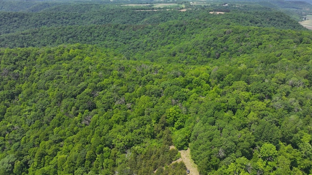 tbd County 13 Road, Houston, MN 55943 - photo 11