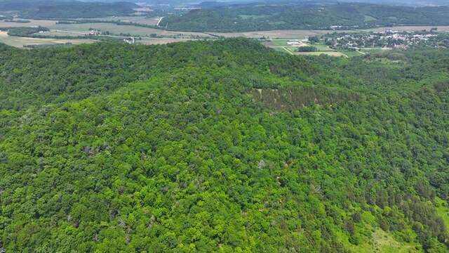 tbd County 13 Road, Houston, MN 55943 - photo 13