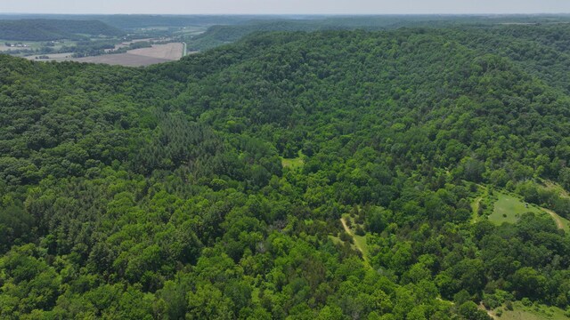 tbd County 13 Road, Houston, MN 55943 - photo 21