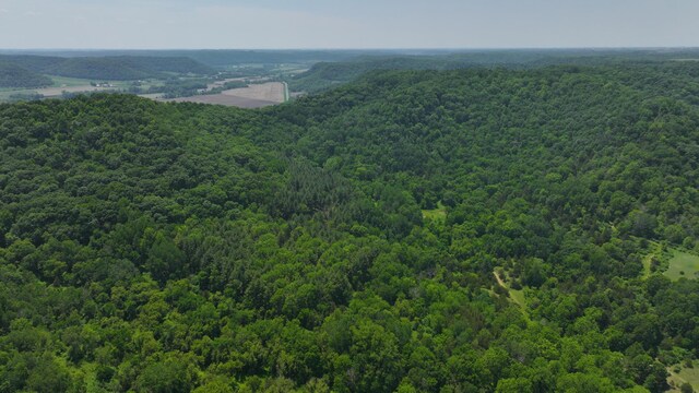 tbd County 13 Road, Houston, MN 55943 - photo 24