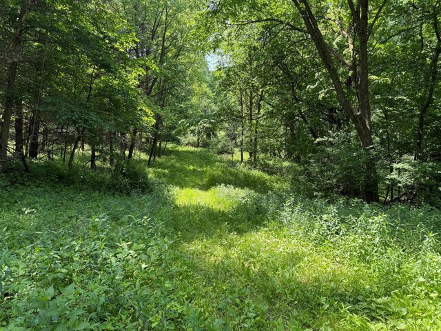 tbd County 13 Road, Houston, MN 55943 - photo 28