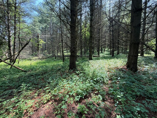 tbd County 13 Road, Houston, MN 55943 - photo 29