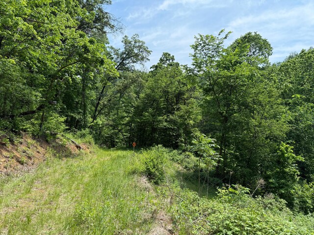 tbd County 13 Road, Houston, MN 55943 - photo 31