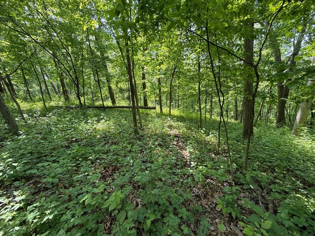 tbd County 13 Road, Houston, MN 55943 - photo 32