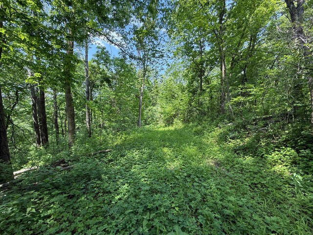 tbd County 13 Road, Houston, MN 55943 - photo 33