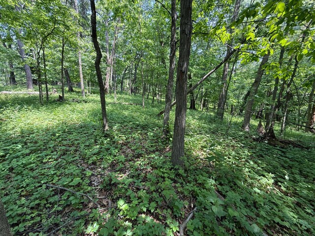 tbd County 13 Road, Houston, MN 55943 - photo 34