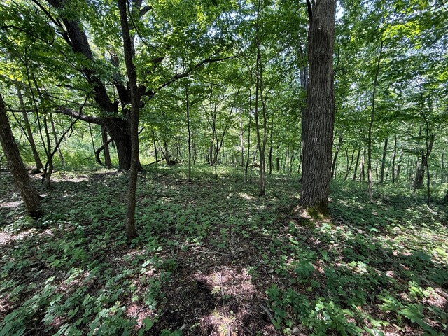 tbd County 13 Road, Houston, MN 55943 - photo 35