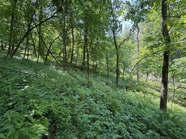tbd County 13 Road, Houston, MN 55943 - photo 36