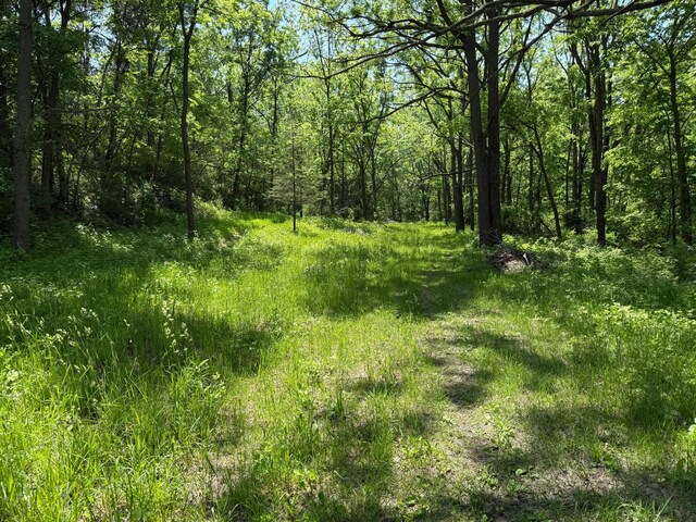 tbd County 13 Road, Houston, MN 55943 - photo 39