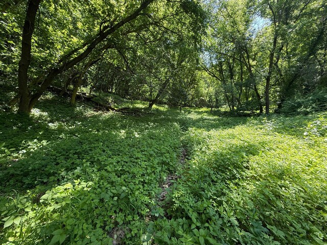 tbd County 13 Road, Houston, MN 55943 - photo 40