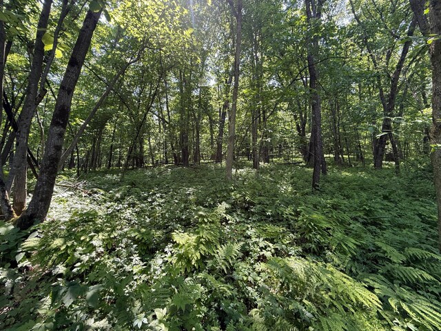 tbd County 13 Road, Houston, MN 55943 - photo 41